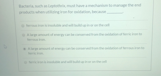 Bacteria, such as Leptothrix, must have a mechanism to manage the end products when utilizing iron for oxidation, because fer