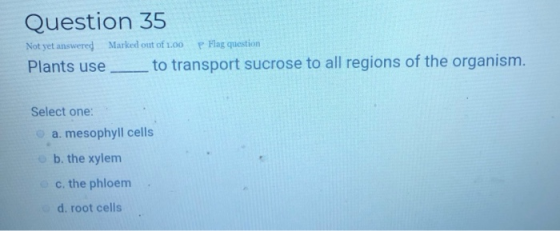 Question 35 Not yet answered Marked out of 1.00 P Flag question Plants use_to transport sucrose to all regions of the organis