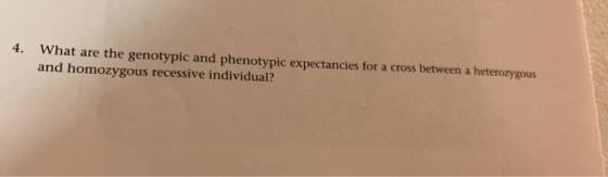 4. What are the genotypic and phenotypic expectancies for a cross between a and homozygous recessive individual? heterozygous