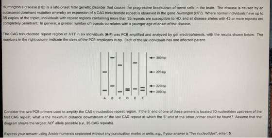 Huntingtons disease (HD) is a late-onset fatal genetic disorder that causes the progressive breakdown of nerve cells in the