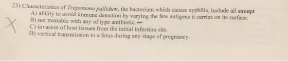 23) Characteristics of Treponema pallidum, the bacterium which causes syphilis, include all except on its surface A) ability