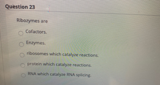 Question 23 Ribozymes are Cofactors Enzymes. ribosomes which catalyze reactions. protein which catalyze reactions. RNA which