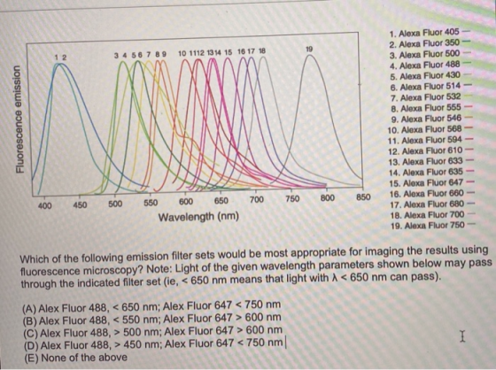 3 4 5 6 7 8 9 10 1112 13 14 15 16 17 18 Fluorescence emission 1. Alexa Fluor 405 - 2. Alexa Fluor 350 3. Alexa Fluor 500- 4.