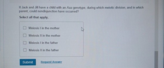 If Jack and Jill have a child with an Aaa genotype, during which meiotic division, and in which parent, could nondisjunction have occurred? Select all that apply Meiosis I in the mother Meiosis I in the mother Meiosis I in the father Meiosis I in the father Submit Request Answer