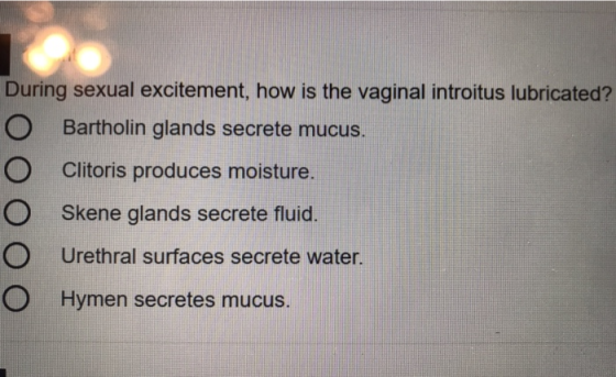 During sexual excitement, how is the vaginal introitus lubricated? O Bartholin glands secrete mucus. O Clitoris produces mois