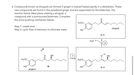 6. Compounds known as shogoals are formed if ginger is instead heated gently in a dehydrator. These new compounds are found i