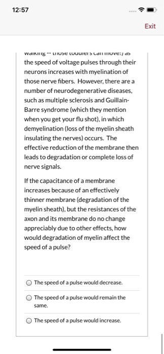 12:57 Exit WAIKIIN LIIS Luuuien ldii nuved> the speed of voltage pulses through their neurons increases with myelination of t