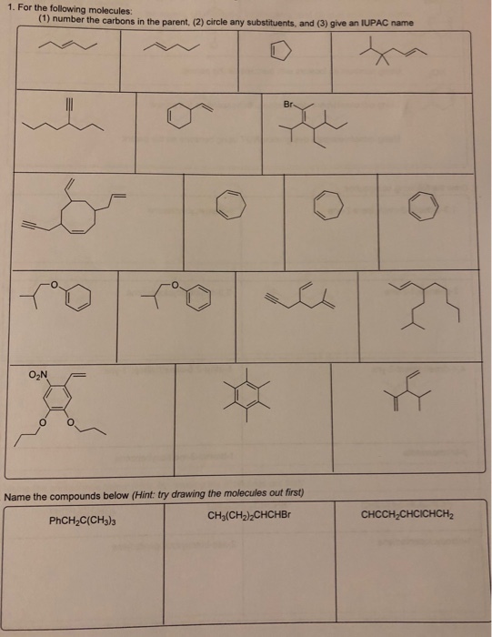 1. For the following molecules: (1) number the carbons in the parent, (2) circle any substituents, and (3) give an IUPAC name Br O2N Name the compounds below (Hint: try drawing the molecules out first) CH3(CH2)2CHCHBr PhCH2C(CH3)3