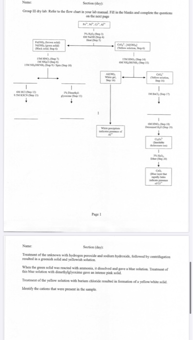 Name Section day Group III dry lah: Refer to the flow chart in your la Fill in the handle the questions on the best page N .