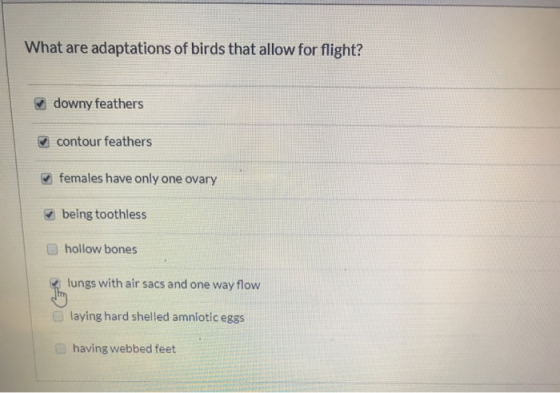 What are adaptations of birds that allow for flight? downy feathers contour feathers females have only one ovary or being too