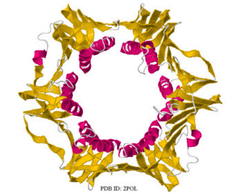 PDB ID: 2POL