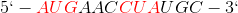 5`- {\color{Red} AUG}AAC{\color{Red} CUA}UGC-3`