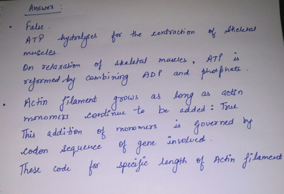 Answer: false . ATP hydrolyses for the contraction of skeletal muscles. On relaxation of skeletal muscles, ATP is reformed by