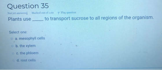 Question 35 Not yet answered Marked out of 1.00 Flag question Plants use_ to transport sucrose to all regions of the organism