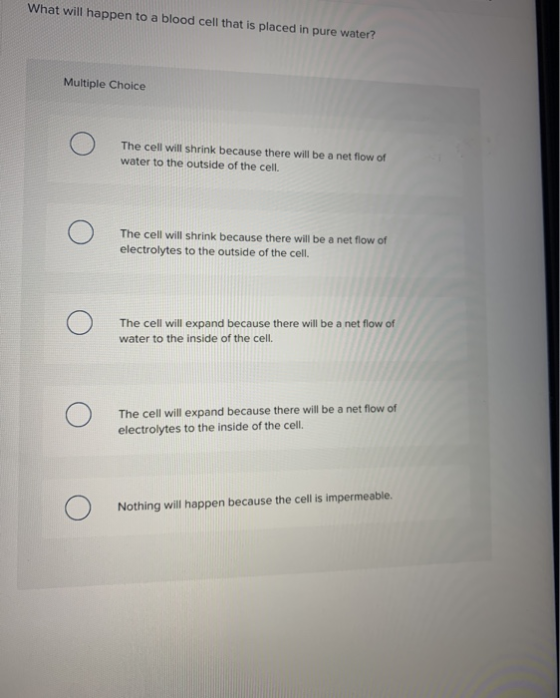 What will happen to a blood cell that is placed in pure water? Multiple Choice The cell will shrink because there will be a n