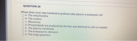 QUESTION 26 Where does most new membrane synthesis take place in a eukaryotic cell A. The mitochondria B. The nucleus OC. Rib