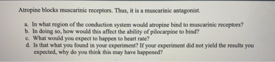 Atropine blocks muscarinic receptors. Thus, it is a muscarinic antagonist. a. In what region of the conduction system would a