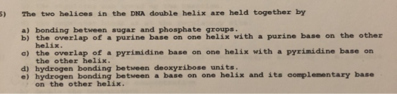 The two helices in the DNA double helix are held together by a) bonding between sugar and phosphate groups. b) the overlap of