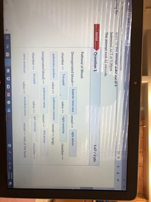 a x 35 Score tor this attempt: 2.0/ out ot 4 Submitted Jul 5 at 5:20pm This attempt took 62 minutes. PartialQuestion 1 1.67/2 pts Pathway of Blood: Deoxygenated blood--Superior vena cava vessel . chamber -> Tricuspid pulmonary semilun valve s pulmonary arteries vessel-lungs (oxygenated blood)> pulmonary veins vessel -s left atrium chamber -> bicuspid aorta semilunar valve > ascending aorta v valve - right ventriclechamber > tricle chamber => vessel -> rest of the body rch