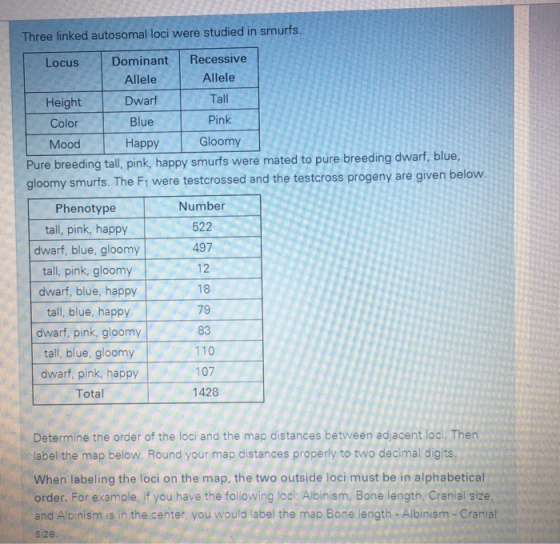 Three linked autosomal loci were studied in smurfs. Dominant Recessive Locus Height Color Mood Allele Dwarf Blue Happy Allele Tall Pink Gloomy Pure breeding tall, pink, happy smurfs were mated to pure breeding dwarf, blue, gloomy smurfs. The Fi were testcrossed and the testcross progeny are given below Phenotype tall, pink, happy dwarf, blue, gloomy tall, pink, gloomy dwarf, blue, happy tall, blue, happy dwarf, pink, gloomy tall, blue, gloomy dwarf, pink, happy Total Number 522 497 12 18 79 83 110 107 1428 Determine the order of the loci and the map distances between adjacent loci. Then label the map below. Round your map distances properly to two decimal digits. When labeling the loci on the map, the two outside loci must be in alphabetical order. For example, if you have the following loci: Albinism, Bone length, Cranial size, and Albinism is in the center, you would label the map Bone length - Albinism- Cranial size