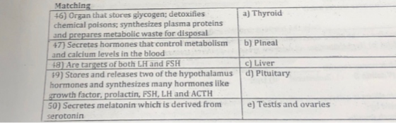 Matching 46) Organ that stores glycogen; detoxifies chemical poisons; synthesizes plasma proteins a) Thyroid and prepares met