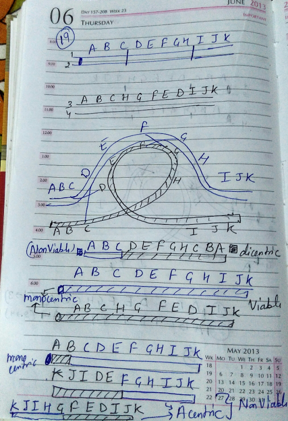 UNE 2013 DAY 157-208 WEEK 23 THURSDAY 1000 11.00 1200 1.00 2.00 3.00 4.00 6.00 MAY 2013 WK Mo Tu WE TH FR SA SU 18 19 6 7 8 9