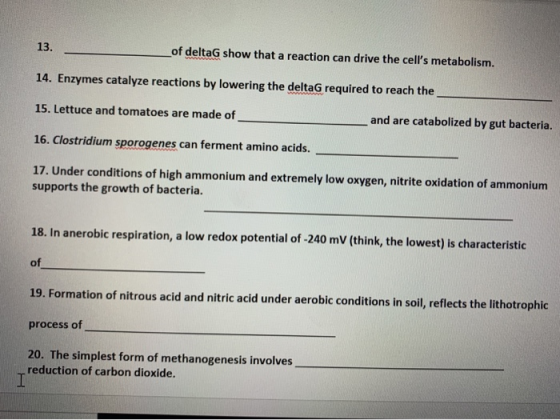 13. of deltaG show that a reaction can drive the cells metabolism. 14. Enzymes catalyze reactions by lowering the deltaG req