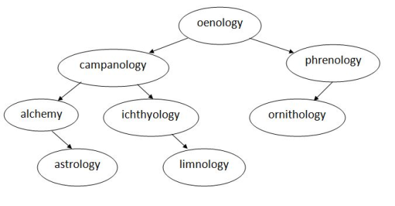 oenology campanology phrenology alchemy ichthyology ornithology astrology limnology