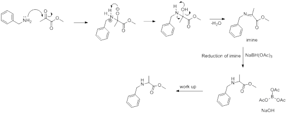 Н OH -Н.о NH2 imine Reduction of imine NaBH(OAc)3 work up OAc OAc AcO NaOH