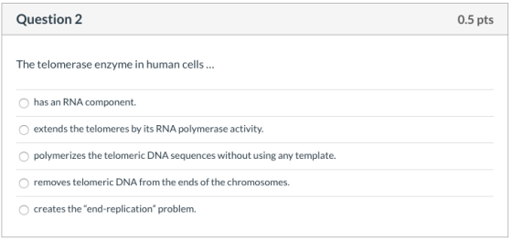 Question 2 0.5 pts The telomerase enzyme in human cells ... O has an RNA component. extends the telomeres by its RNA polymera