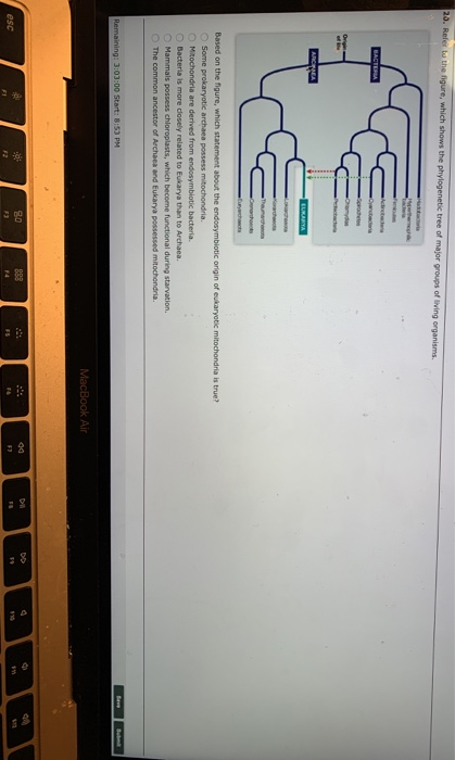 20. Refer l the figure, which shows the phylogenetic tree of major groups of living organisms. Based on the figure, which sta