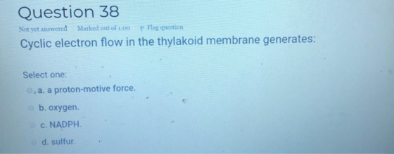 Question 38 Not yet answered Marked out of 1.00 P Flag question Cyclic electron flow in the thylakoid membrane generates: Sel