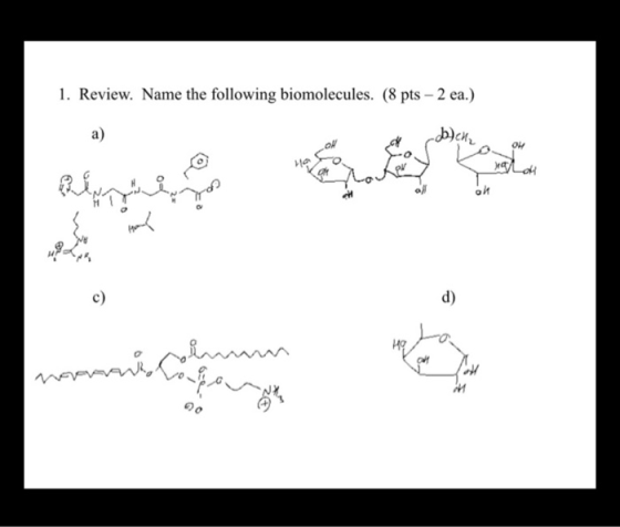 1. Review. Name the following biomolecules. (8 pts - 2 ea.) a) -D) CH2 OW aloh می پر ой c) d) mambo mengine