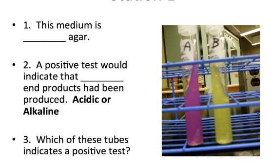 • 1. This medium is agar. A 2. A positive test would indicate that end products had been produced. Acidic or Alkaline • 3. Wh