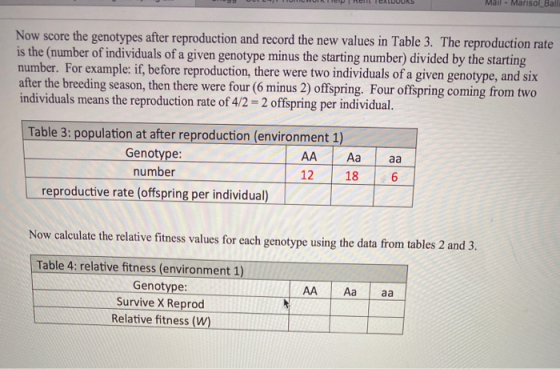 Now score the genotypes after reproduction and record the new values in Table 3. The reproduction rate is the number of indiv
