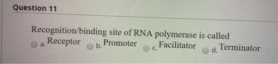 Question 11 Recognition/binding site of RNA polymerase is called a Receptorb. Promoter . Facilitatord. Terminator
