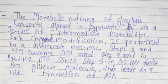 - The Metabolic pathway of glycolyis, Converts glucose to pyruvate By via a Series of intermediate Metabolites. Each chemical