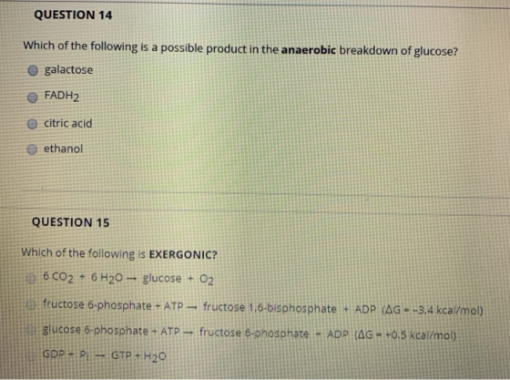 QUESTION 14 Which of the following is a possible product in the anaerobic breakdown of glucose? O galactose FADH2 e citric ac