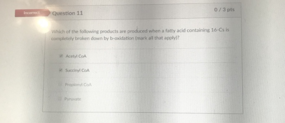 0/3 pts Question 11 Which of the following products are produced when a fatty acid containing 16-Cs is completely broken down