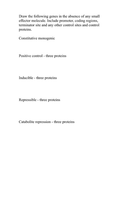 Draw the following genes in the absence of any small effector molecule. Include promoter, coding regions, terminator site and