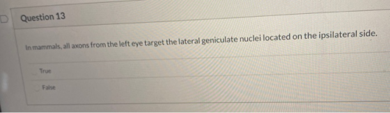 D Question 13 In mammals, all axons from the left eye target the lateral geniculate nuclei located on the ipsilateral side. T