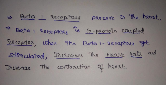 Beta a2ceptoas psesent n he heant Beta gceptoRs aPaotoi coupled 90ceptos uther The Beta 1-120eptoAs eb Stmulated, IRRCSThR HR