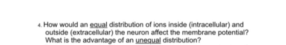 How would an equal distribution of ions inside (intracellular) and outside (extracellular) the neuron affect the membrane potential? What is the advantage of an unequal distribution?