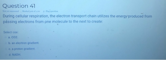 Question 41 Not yet answered Marked put of 1.00 Flag question During cellular respiration, the electron transport chain utili