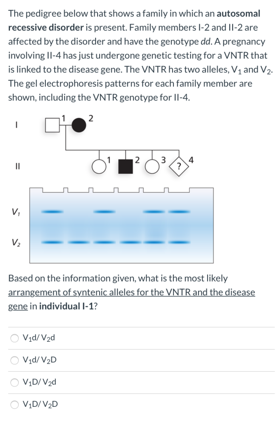 The pedigree below that shows a family in which an autosomal recessive disorder is present. Family members 1-2 and II-2 are a