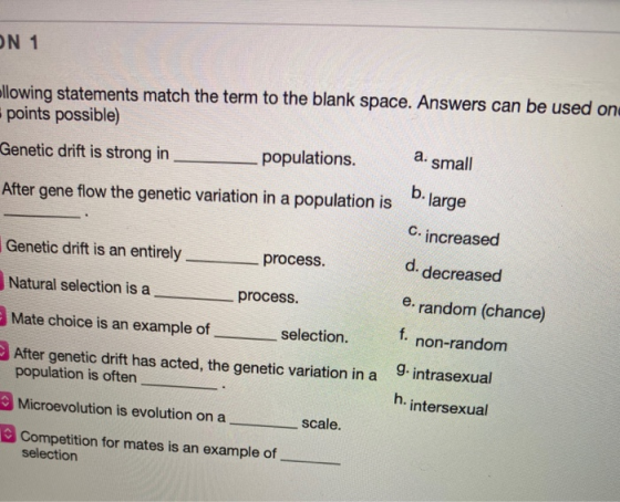 ON 1 ollowing statements match the term to the blank space. Answers can be used on points possible) Genetic drift is strong i