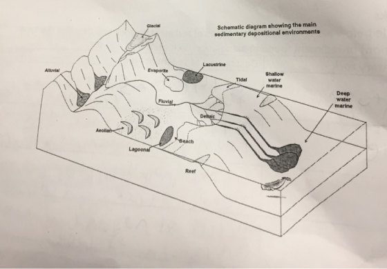 Schematic diagram showing the main sedimentary depositional environments / / Lacustrine Alluvial Shallow water marine Deep wa
