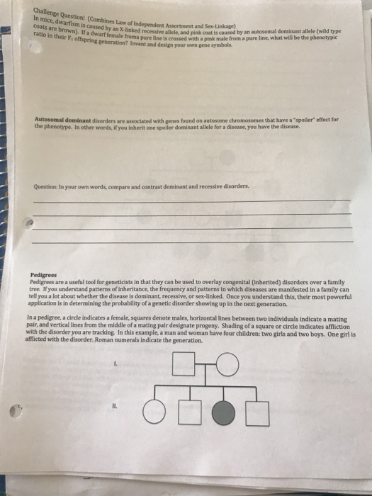 Challenge Question! (Combines Law of Independent Assortment and Sex-Linkage) ratio in their Fi offspring generation? Invent a