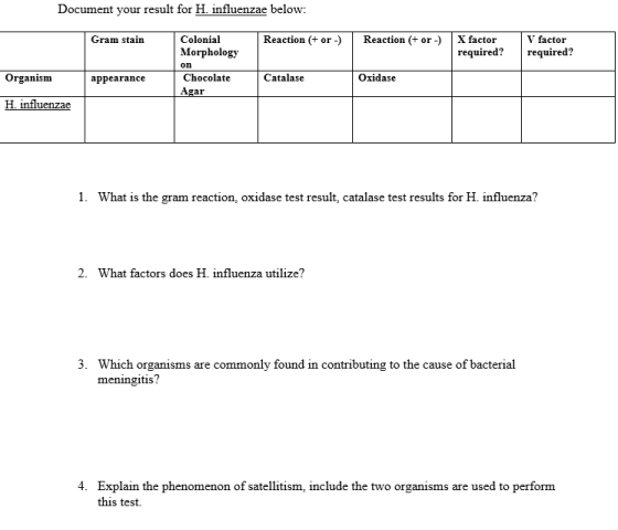 Document your result for H influenzae below: Gram stain Colonial Morphology on Chocolate Reaction (orReaction (+ or-)X factor