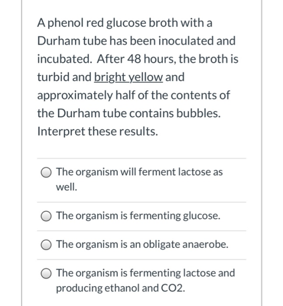 A phenol red glucose broth with a Durham tube has been inoculated and incubated. After 48 hours, the broth is turbid and brig